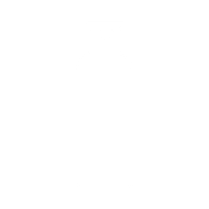 hygeine icon