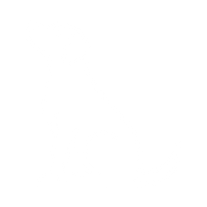 pet icon